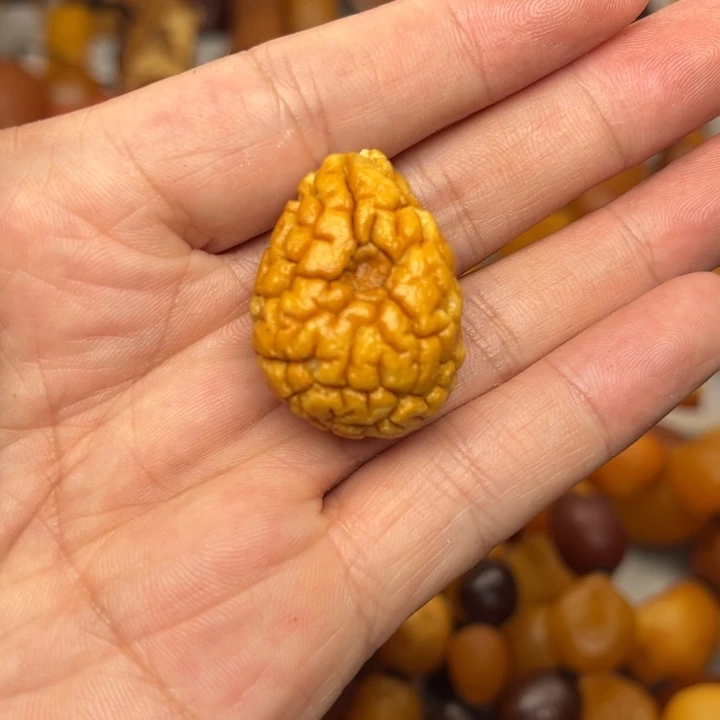 裸石琥珀未镶嵌天然蜜蜡吊坠