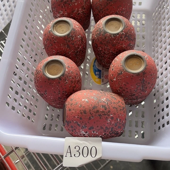 福利待遇多多哦哦哦随机一只