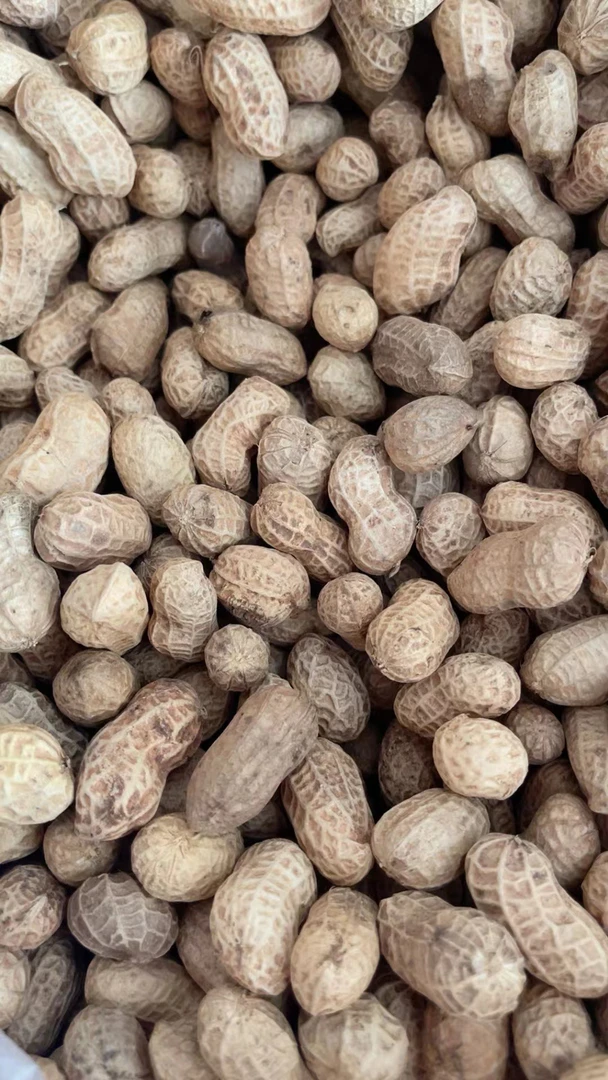 莆田农家花生水煮日晒