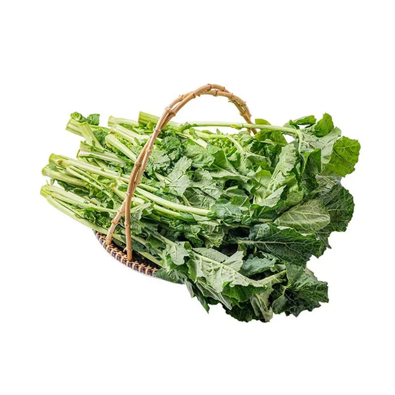 【春菜】缤纷田园高原板蓝根青菜 约300g