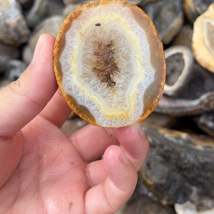 玛瑙/玉髓颈饰合金