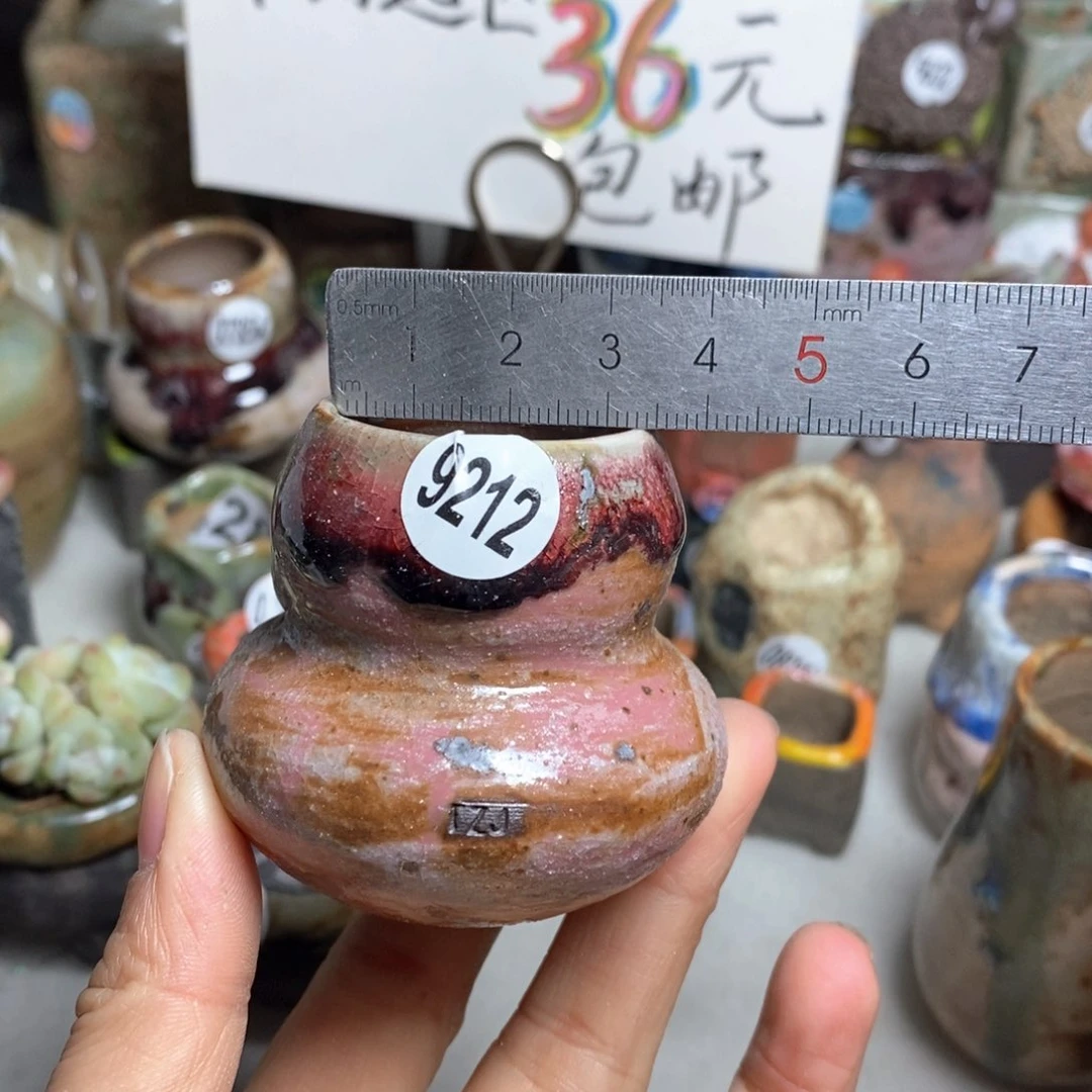 花盆拍5送一个小礼物