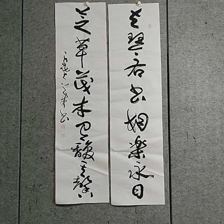 书法宋秉民。四尺对开。左琴右书相乐永日