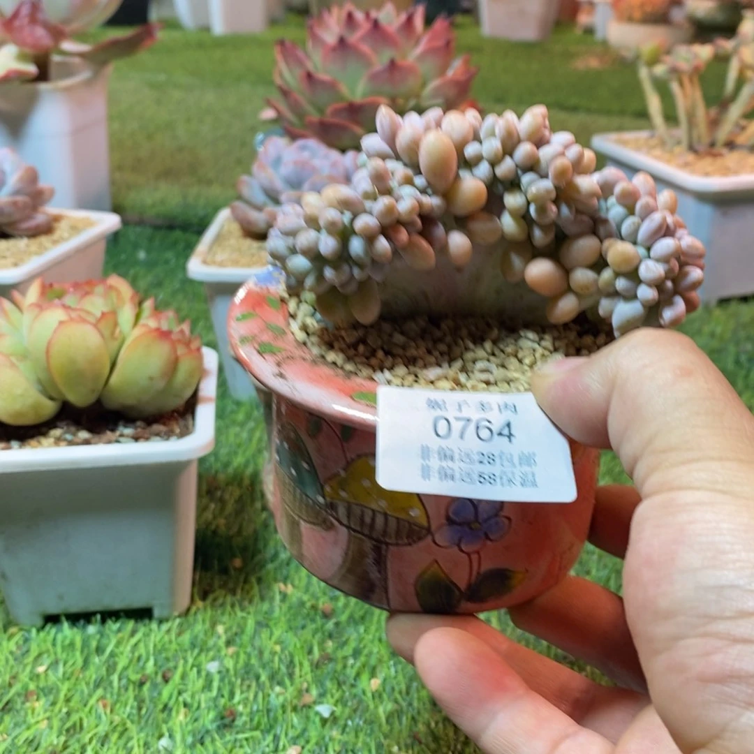 读***大0764啊啊啊啊啊啊啊啊