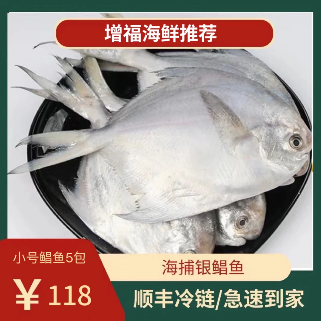 日照本地 野生深海捕捞 银鲳鱼新鲜冷冻速冻 500克/包  顺丰发货