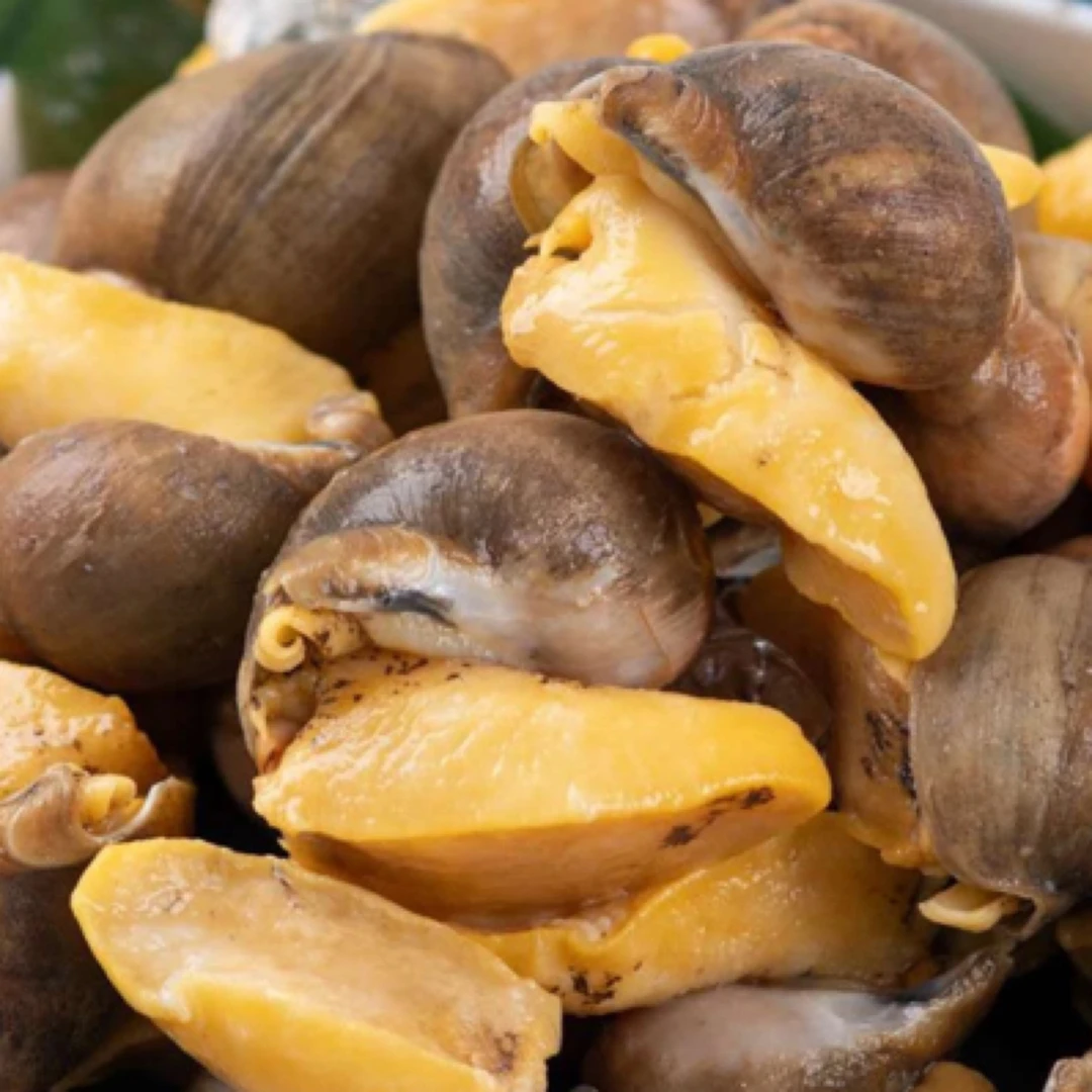 东港速冻鲍鱼螺顺丰发货每斤38只左右特大号个大肉肥有硬黄。