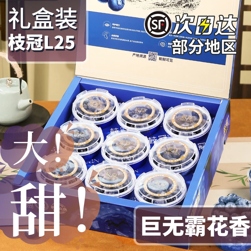 云南L25枝冠花香小懒杯蓝莓鲜果9杯礼盒超能杯新鲜水果100g/杯