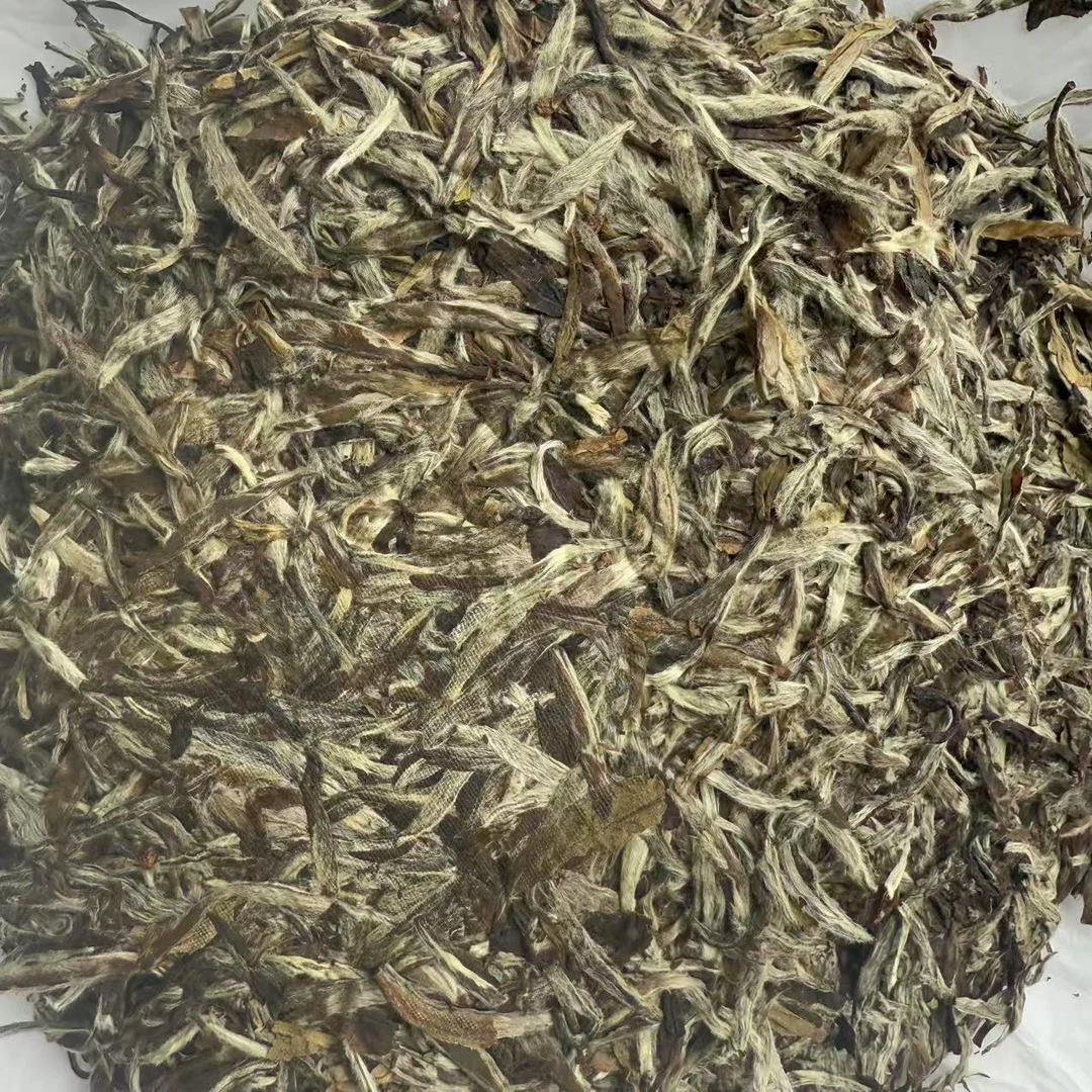 【鑫说】福鼎白茶---2010年白毫银针饼