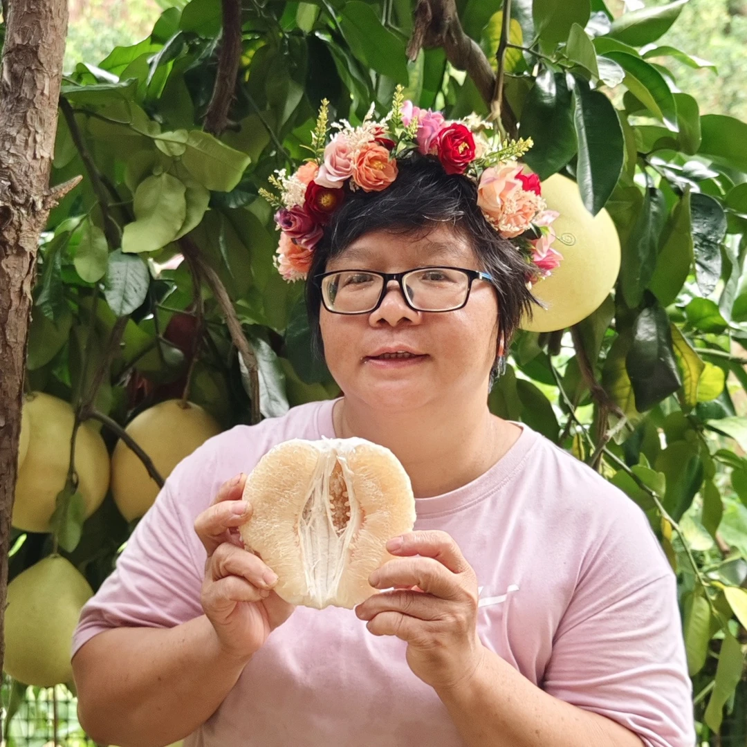 梅州蜜柚柚子清甜爽口当季新鲜水果黄艳红农场自产自销白肉蜜柚