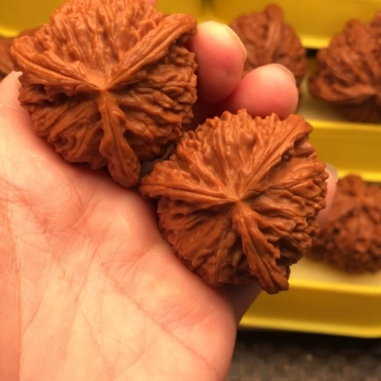 广***制核桃核桃核桃核桃