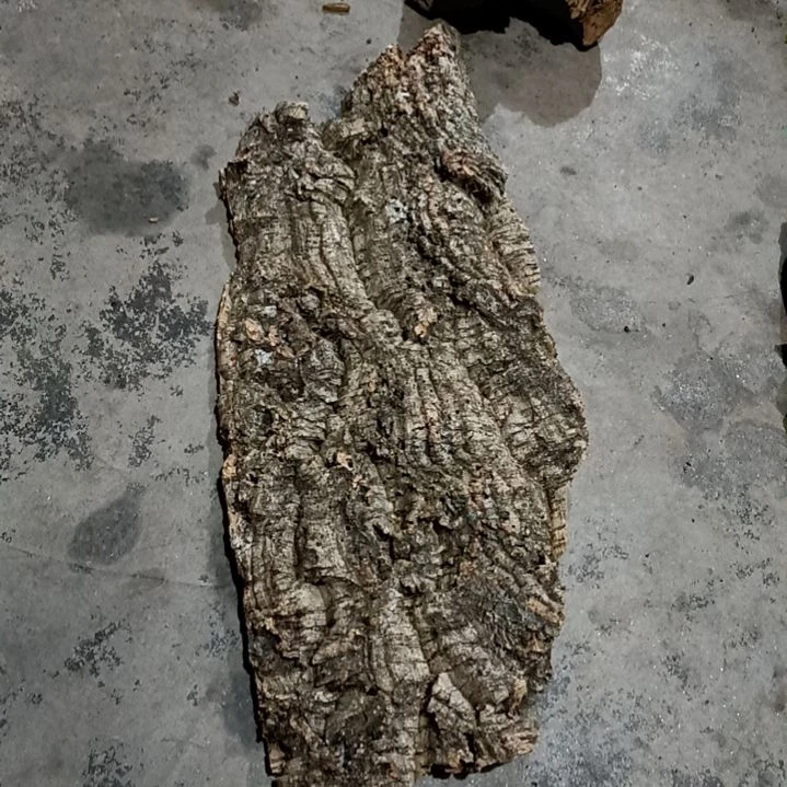 木一物一拍一物一发