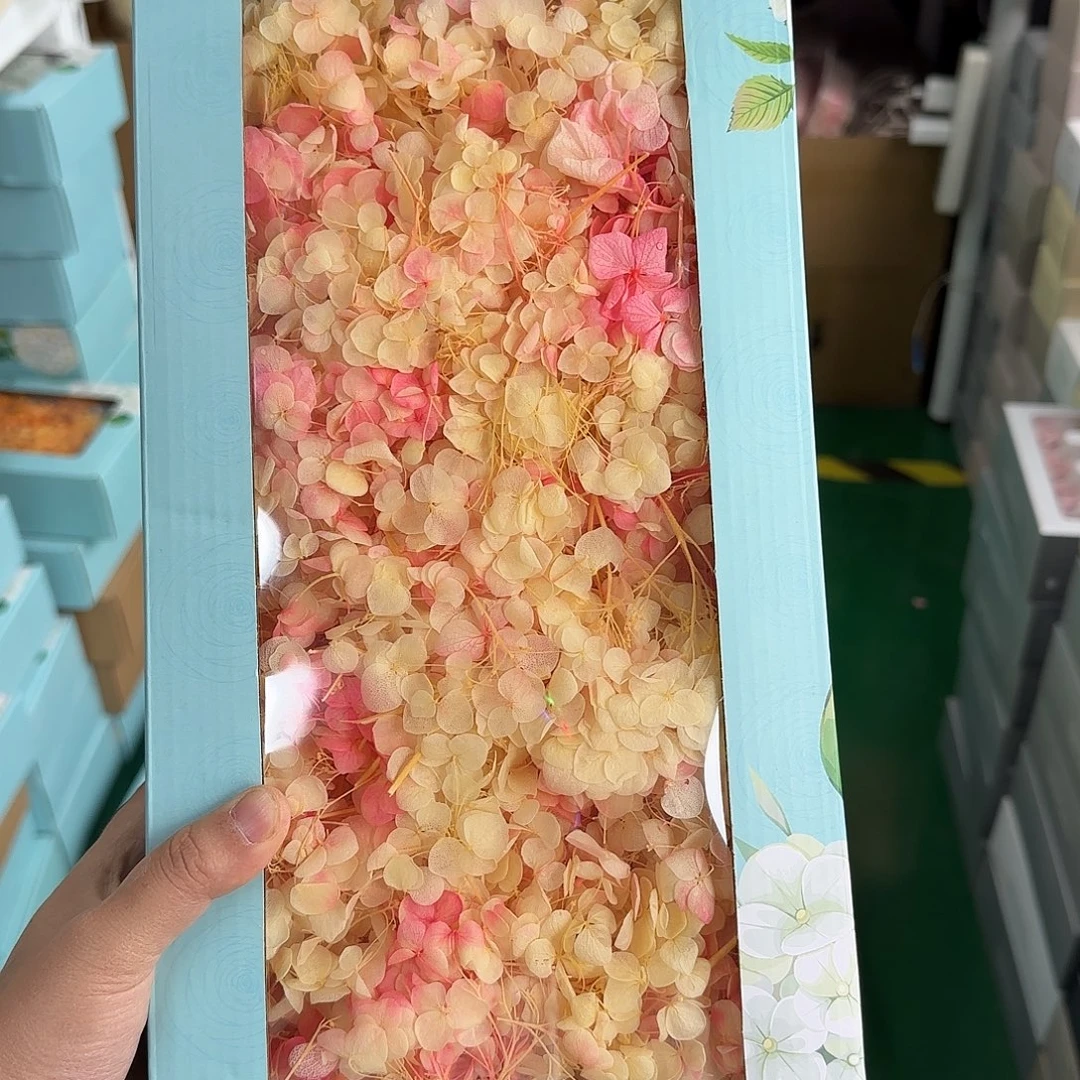 秀***H27号米白加玫粉1盒