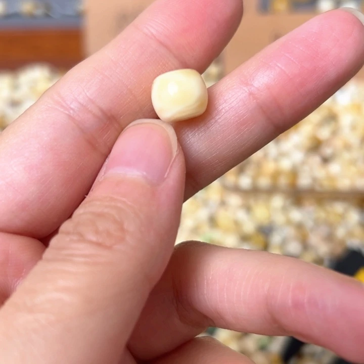 蜜蜡未镶嵌裸石10mm一个