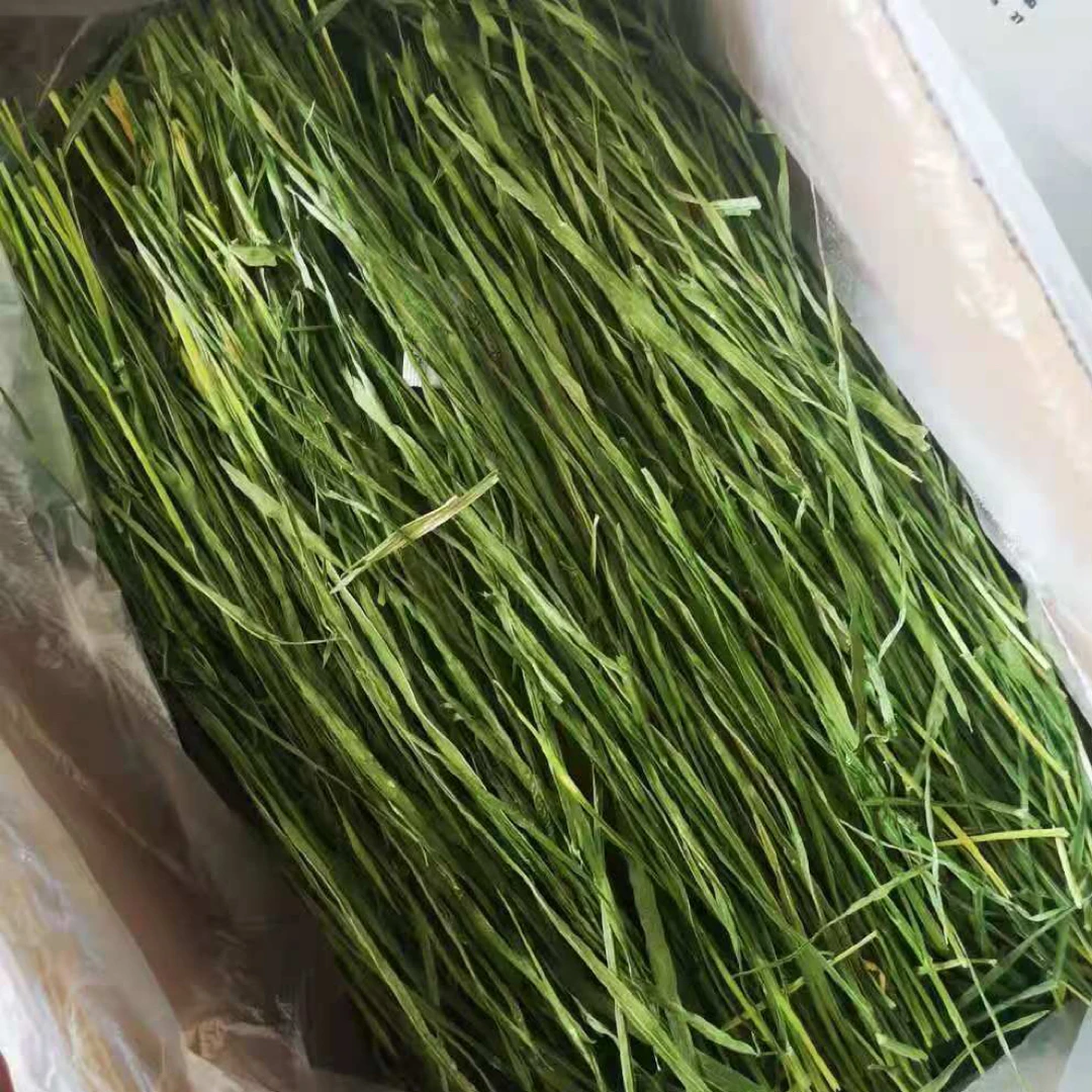 26年新小麦草兔子草段兔子龙猫荷兰猪高纤维磨牙主食提摩西草干草