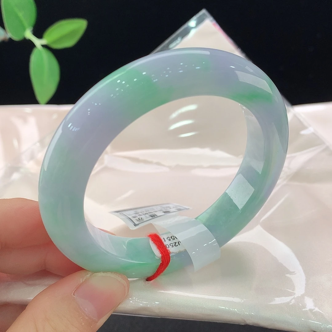 未镶嵌手镯翡翠0551