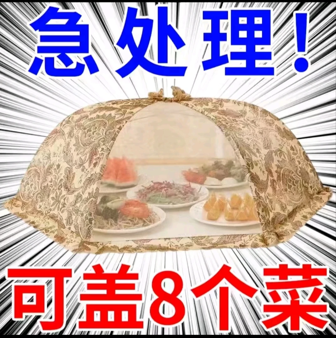 宫廷风菜罩子防尘防虫蕾丝菜罩1个