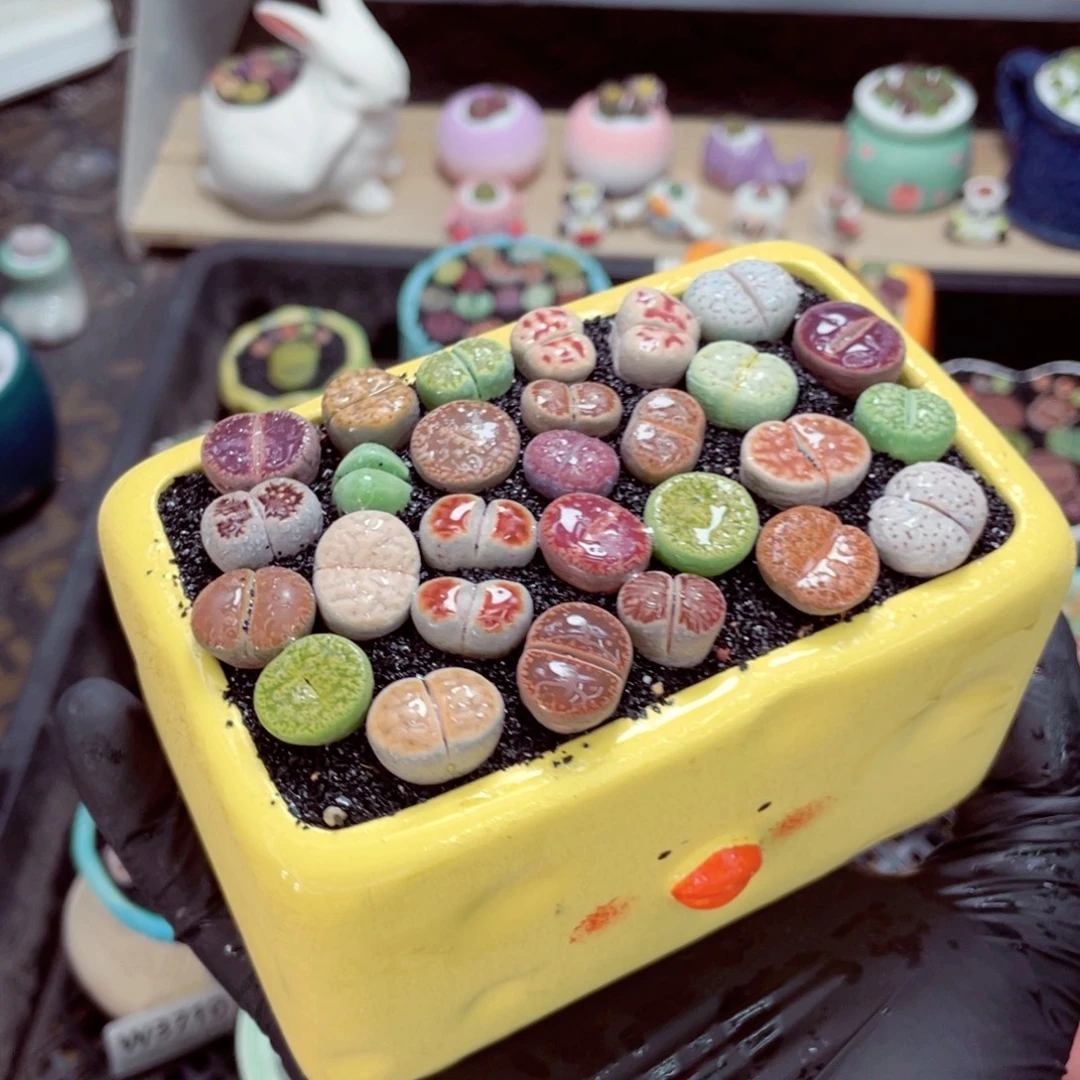 夜间零下地区拍保温箱w3720