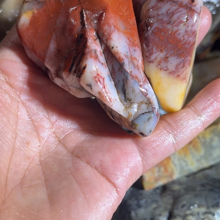 上***室寿山石88888888888888