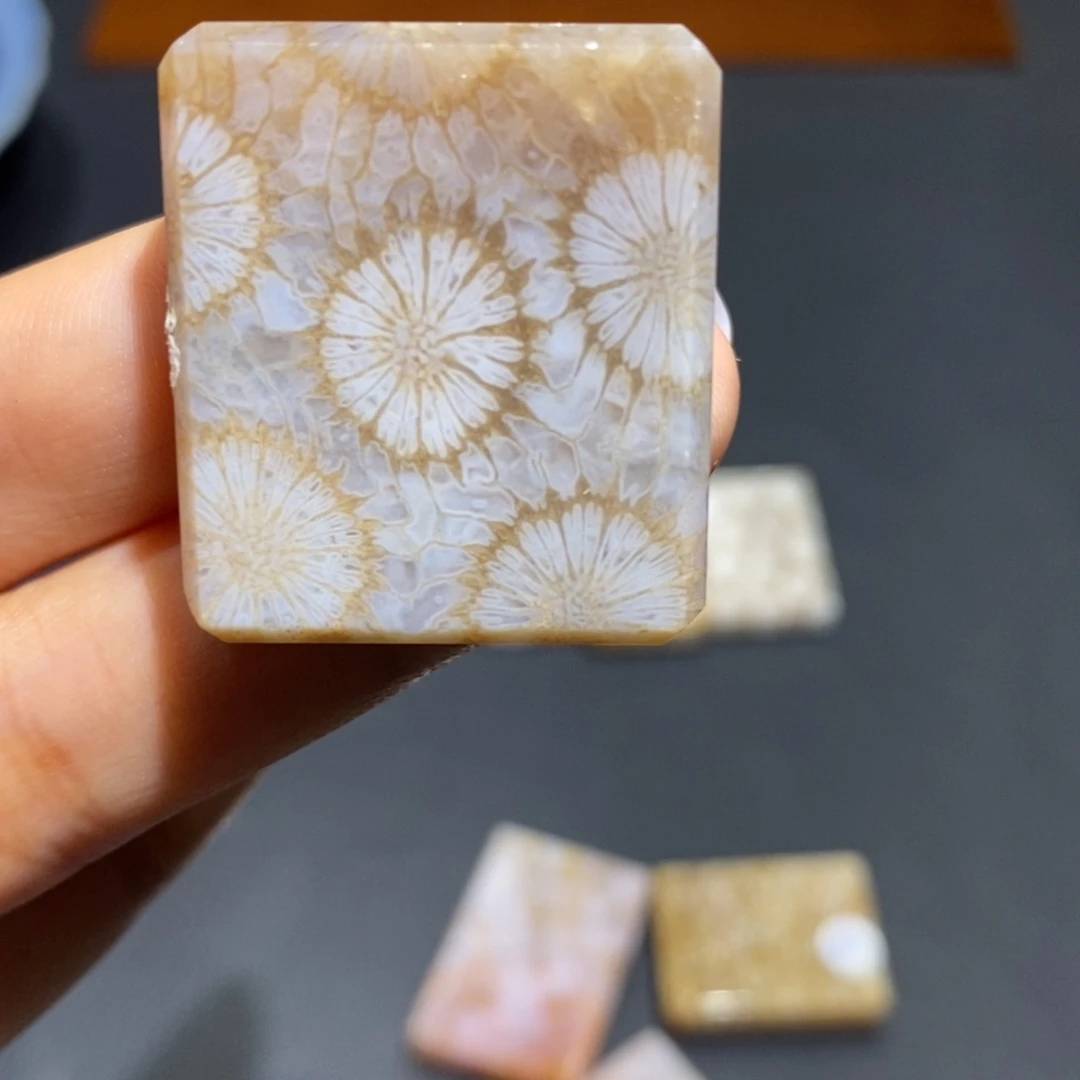 【闪购商品】未镶嵌珊瑚玉硅化玉