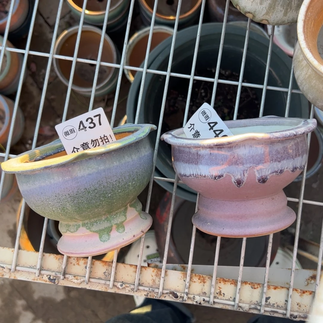 景德镇中号手工盆2个