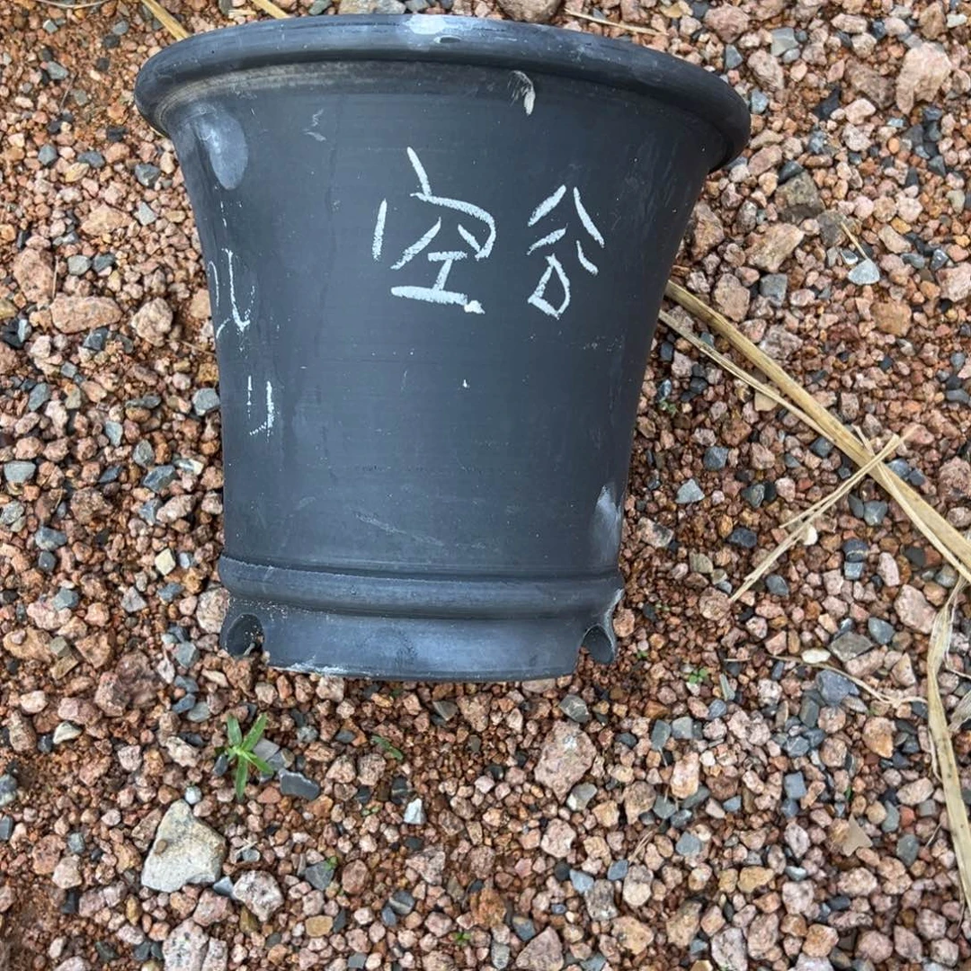 空***兰微瑕疵矮七寸口径20高度18