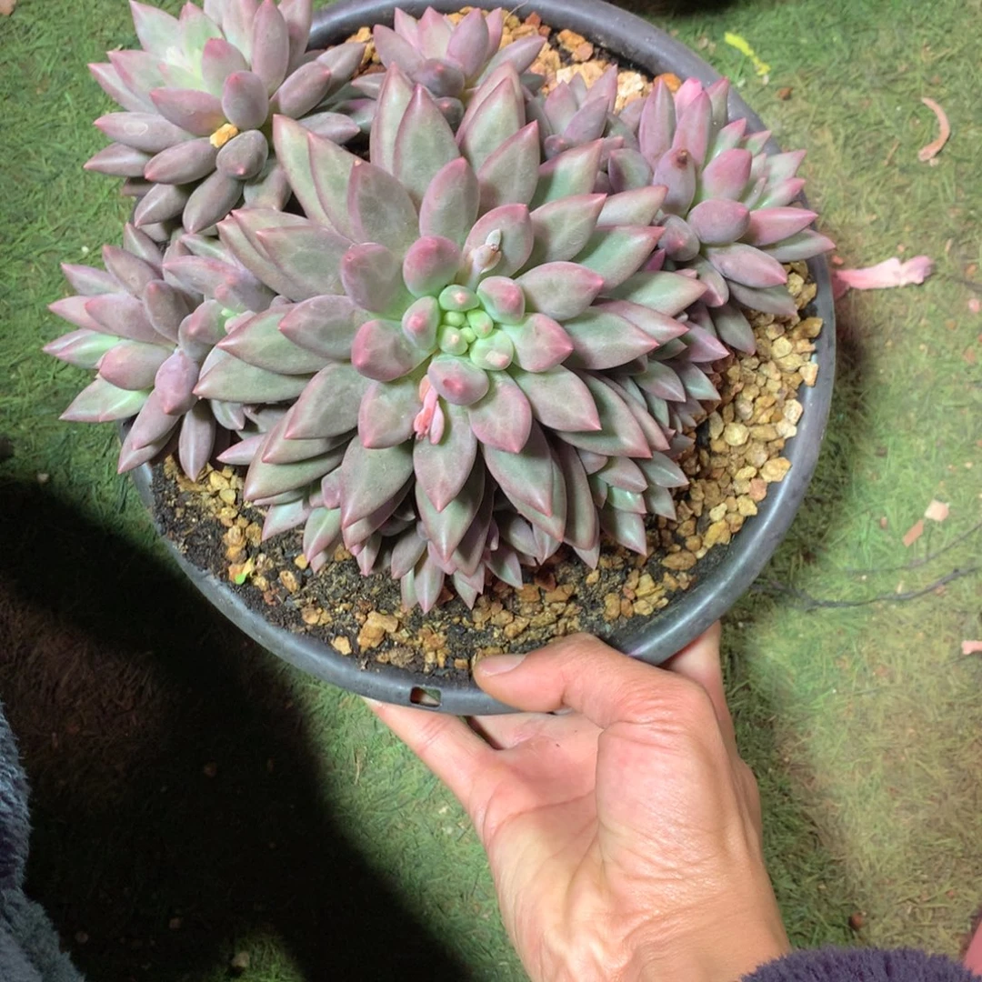 ︶***࿐哈哈哈哈哈哈哈哈哈哈哈哈