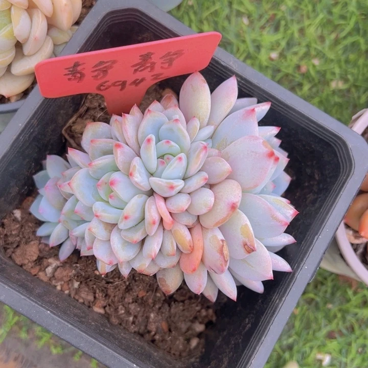 健健康康平平安安