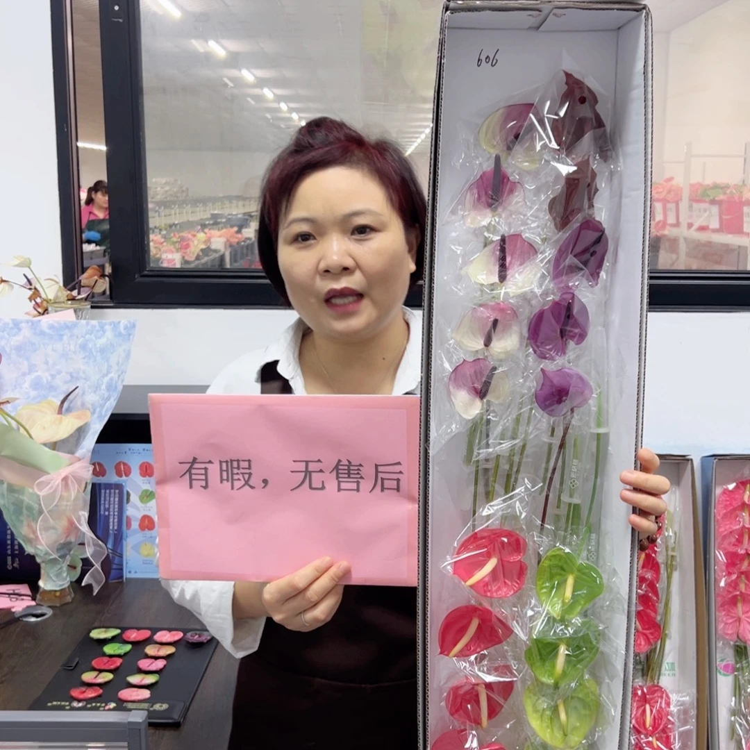 完全开放混色-20枝装无售后款606