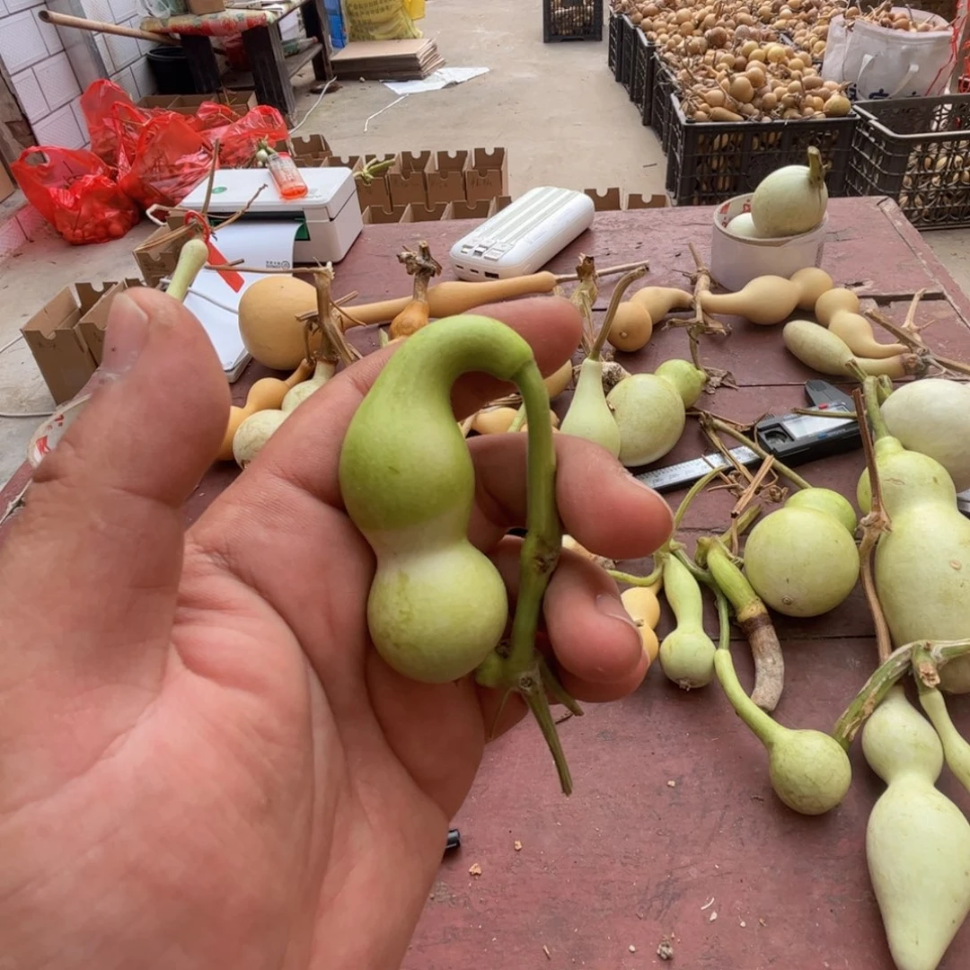 朵***啦文玩葫芦吊坠项链