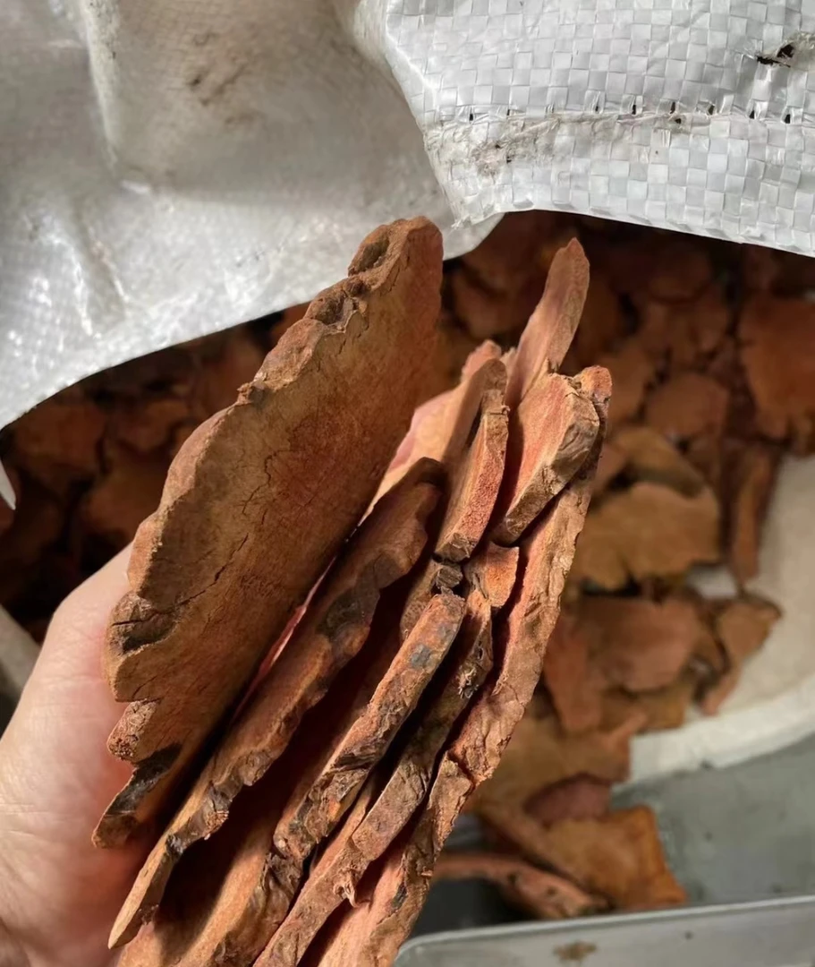 云南自然晾晒红肉土茯苓