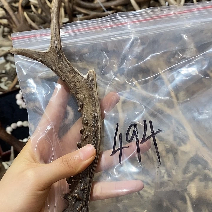 鹿鹿角鹿角鹿角鹿角鹿角