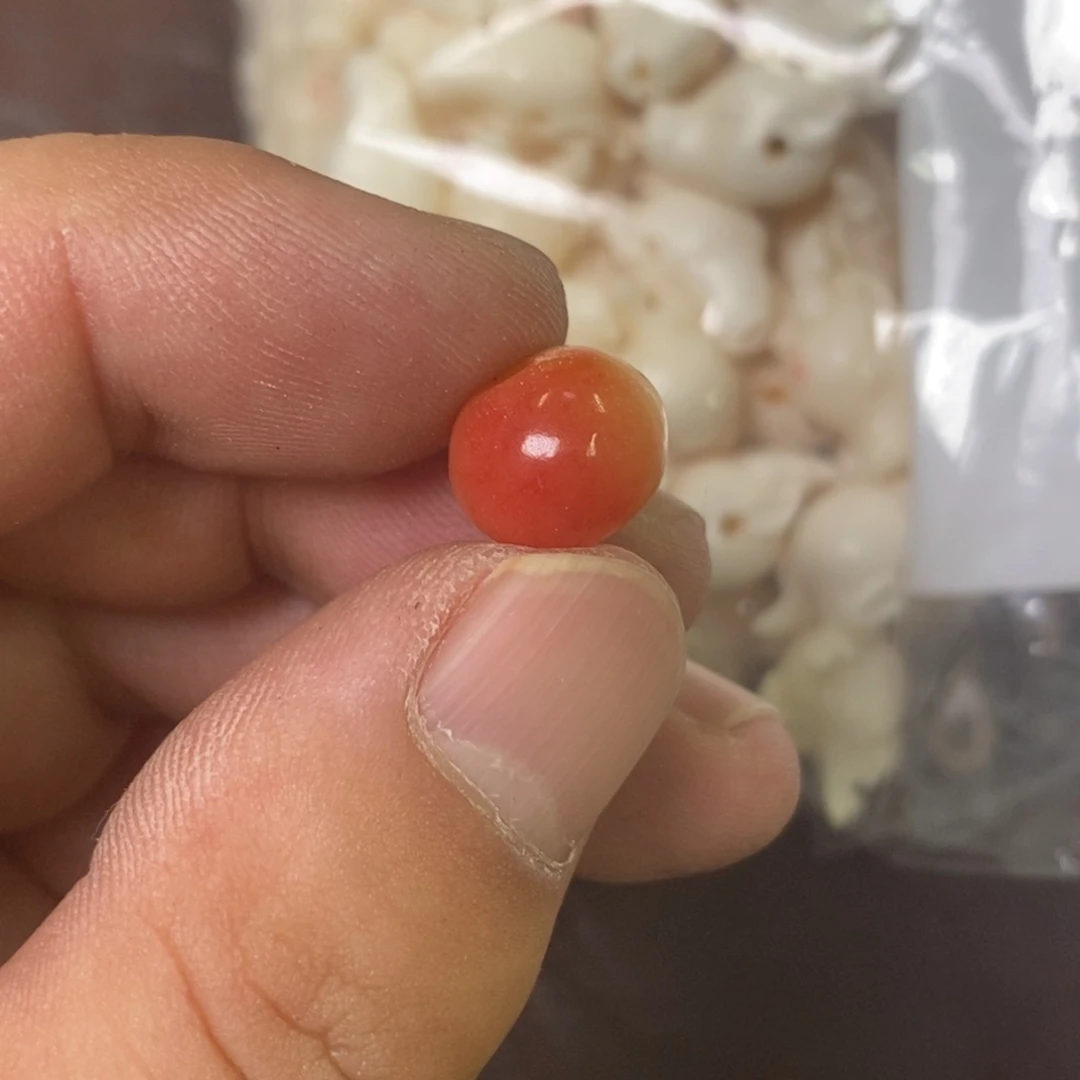 手串/手链驼骨配饰43