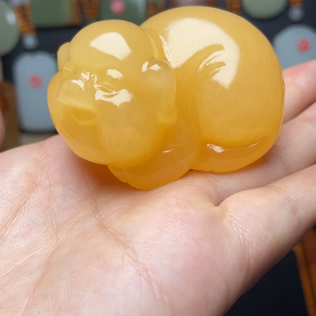 一物一图猪所见所得