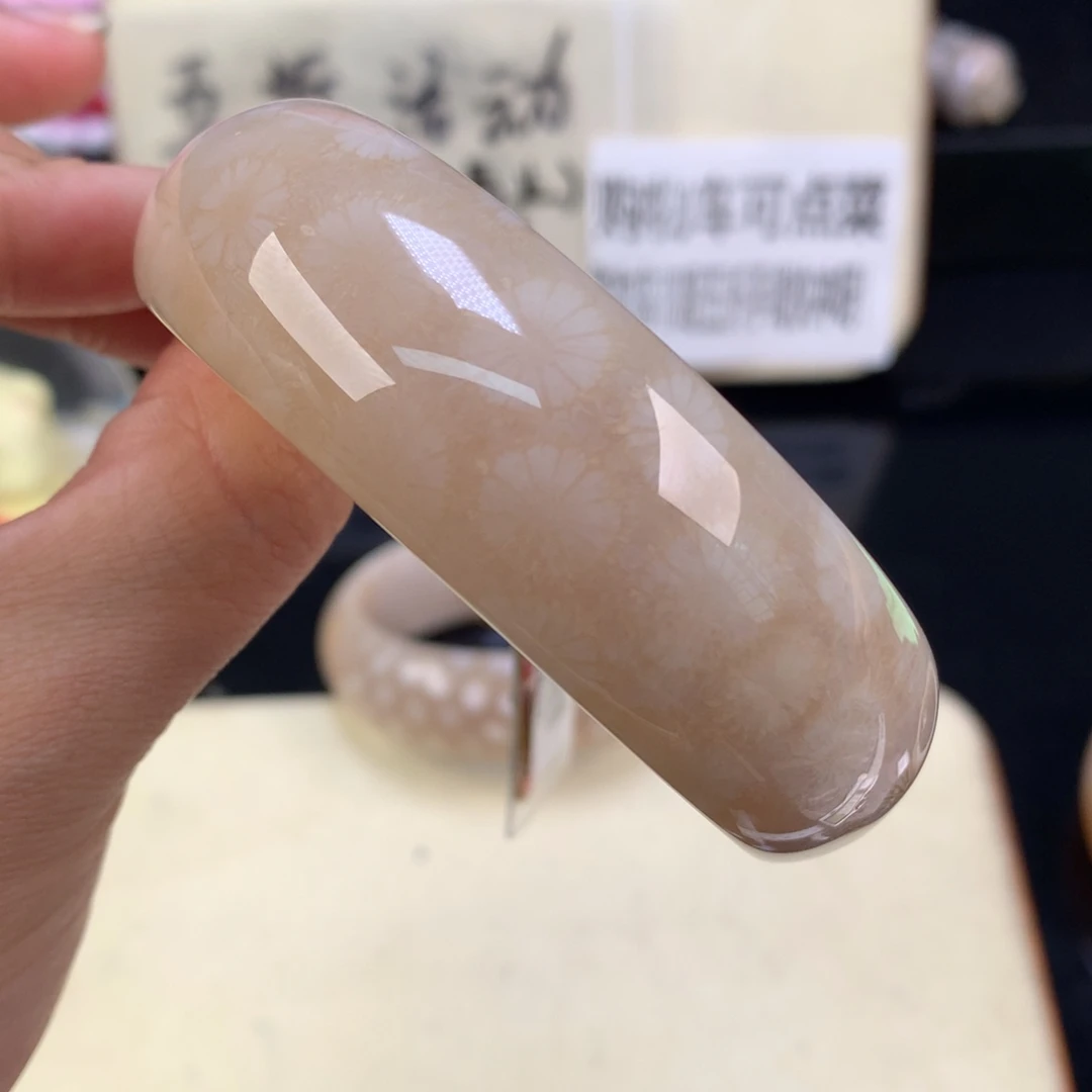*****硅化珊瑚（珊瑚玉）未镶嵌颈饰