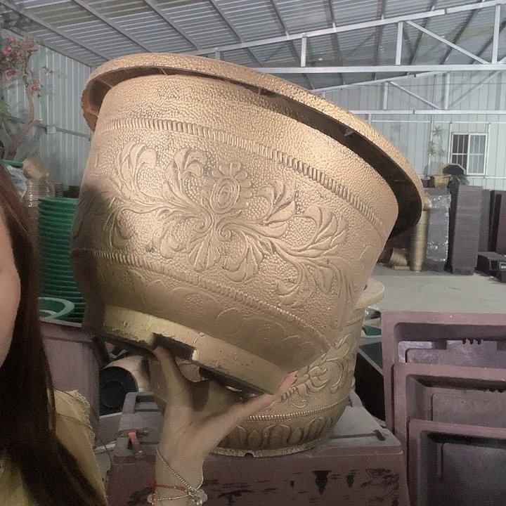 盆景75665555888888