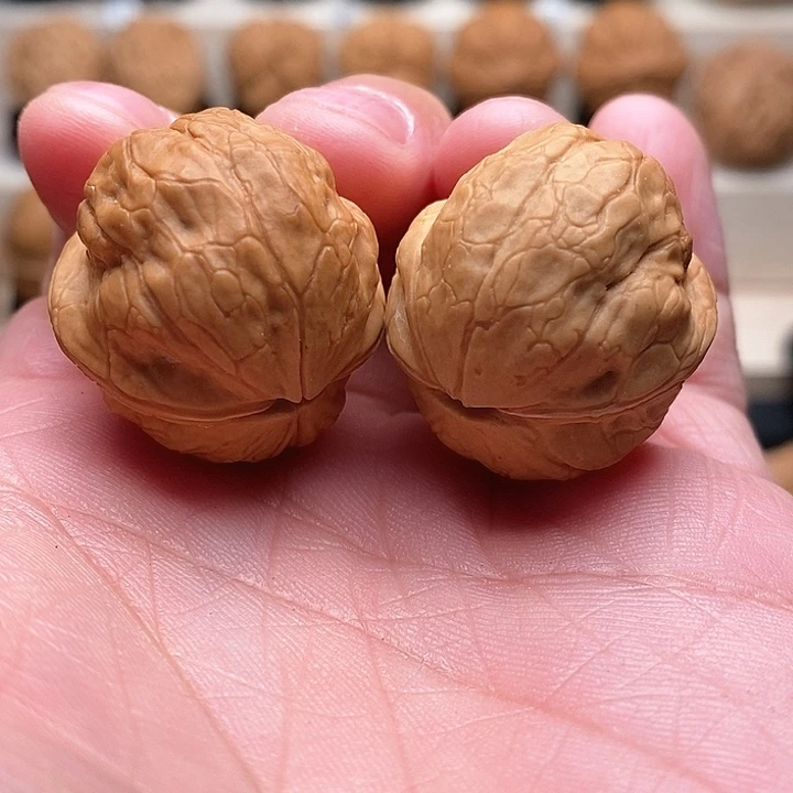 文玩核桃把件……………………