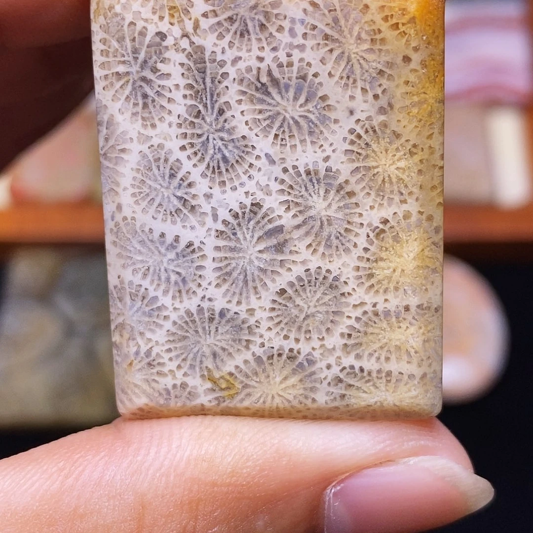 爱****硅化玉合金珊瑚玉