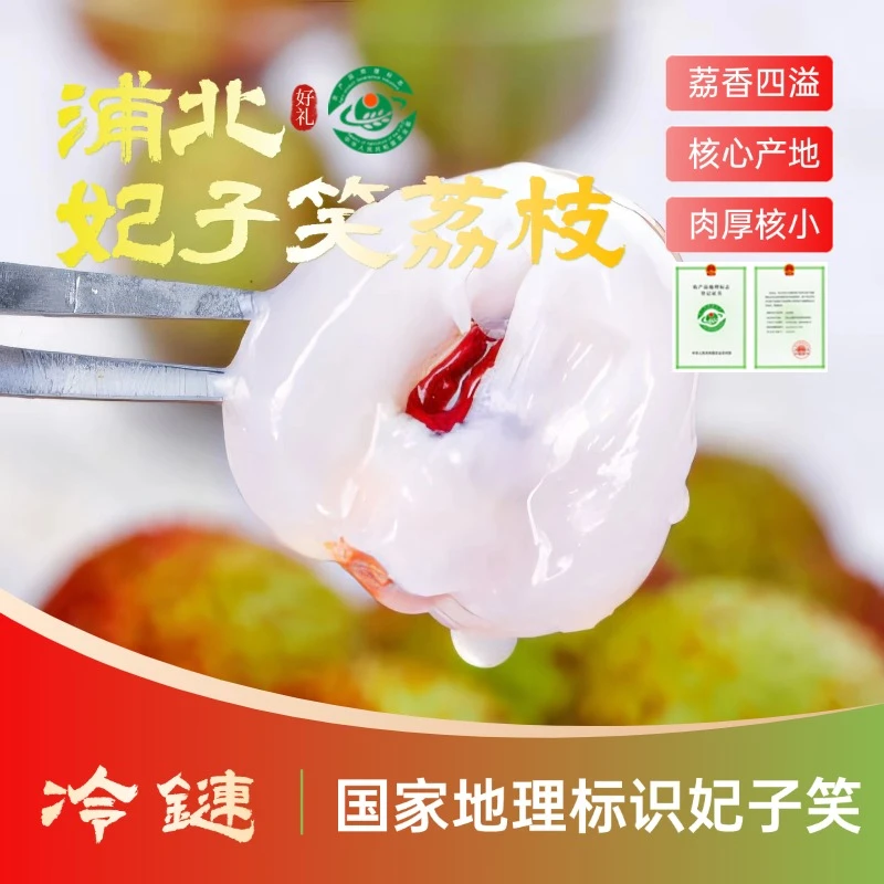 【地标·妃子笑】老树妃子笑荔枝蜜香蜜甜肉厚多汁应季果11