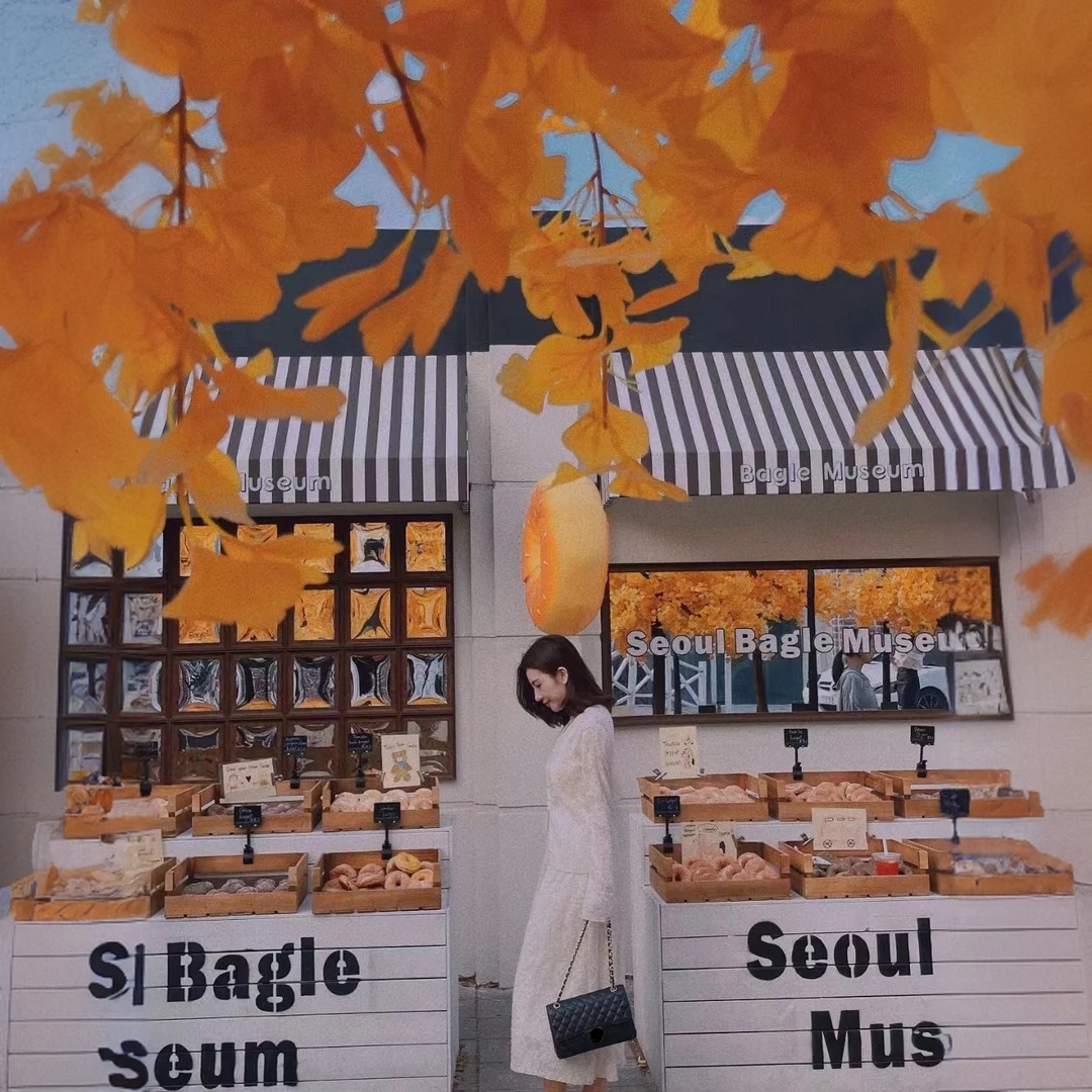 【ViVi推荐】HB侯博  款经典高端定制单肩手拎女士包包