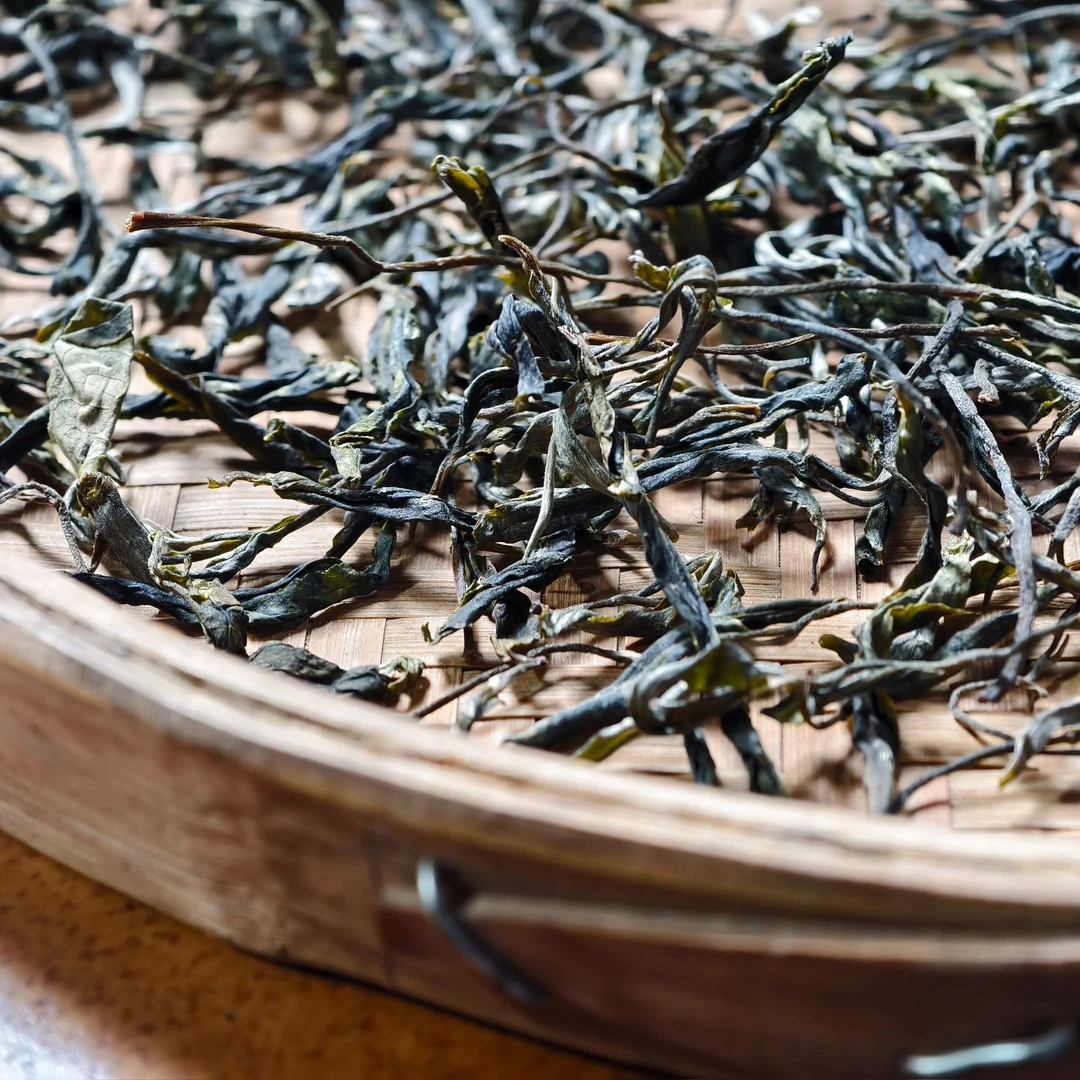 上纪堂溯源 2025年 帕莎新寨42号 帕沙大乔木  普洱生 散茶