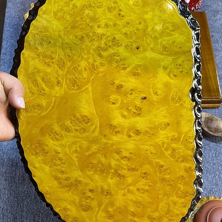 黄金樟特价不退换40 27 2