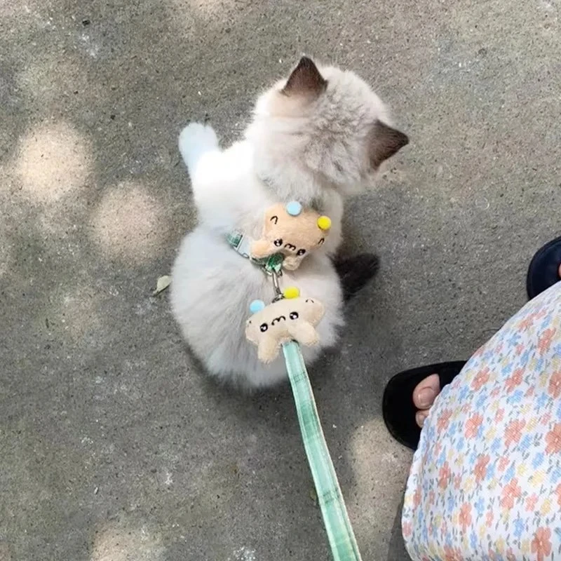 猫咪牵引绳防挣脱外出专用溜猫绳小型犬泰迪狗狗胸背带绳子可调节