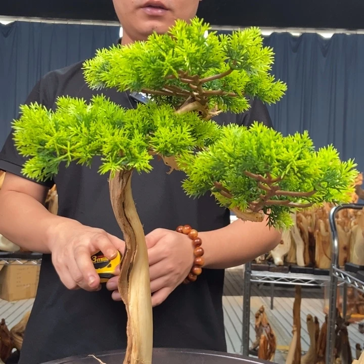 柏木（崖柏）随型摆件