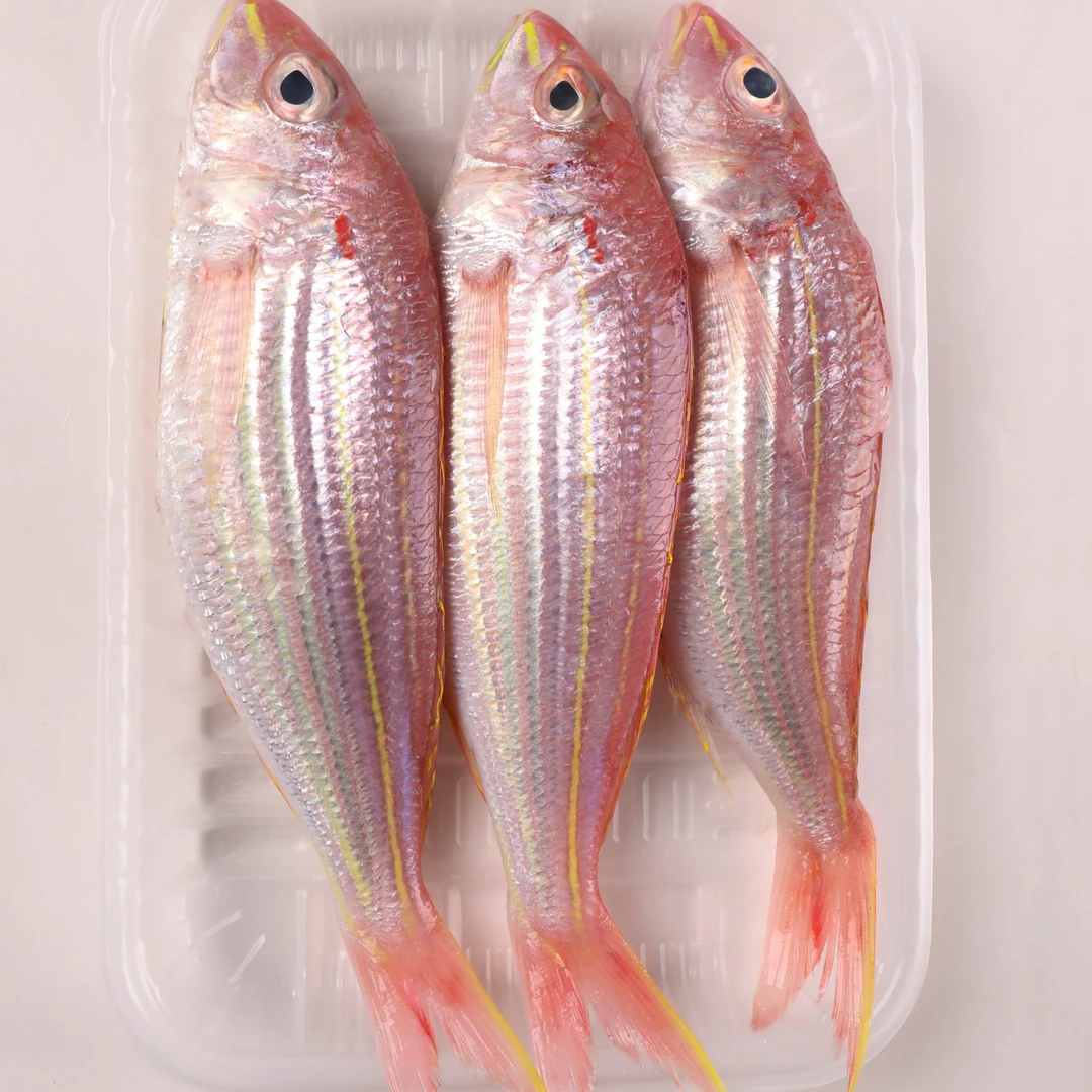 海钓金丝鱼 4斤(2-3条/斤)野生海钓金线鱼 速冻发货 顺丰包邮