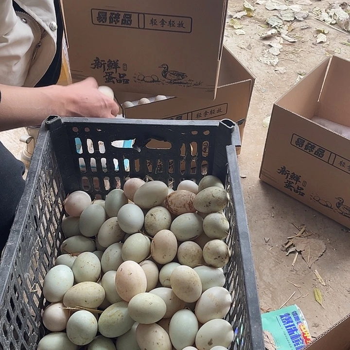 高***行包装中国大陆30g鸭蛋