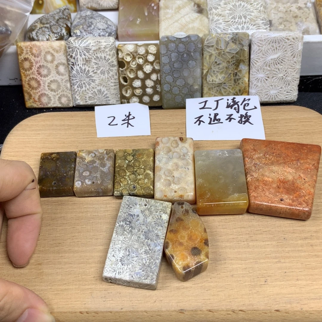 0***4未镶嵌无硅化珊瑚（珊瑚玉）