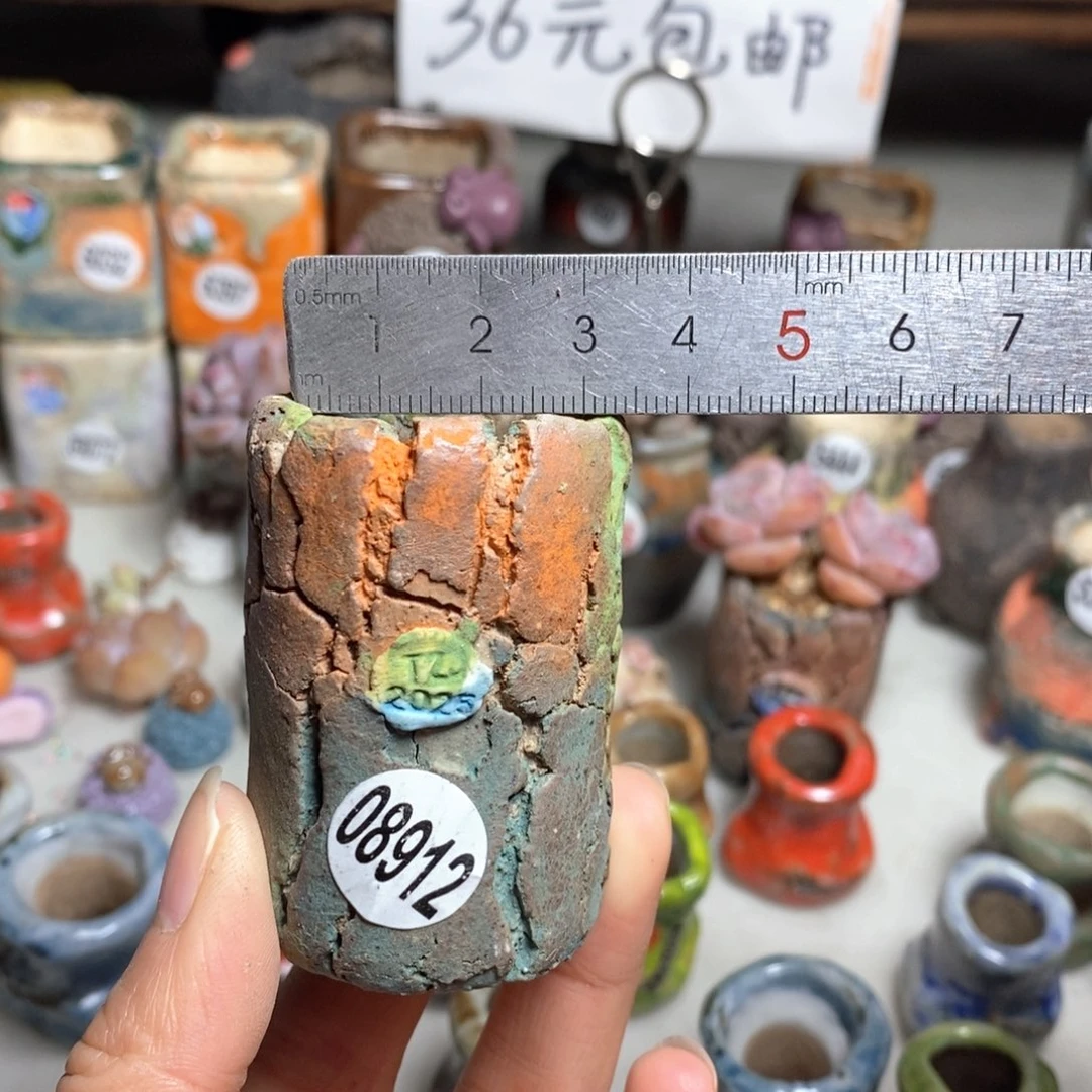多肉花盆拍3送一个小礼物