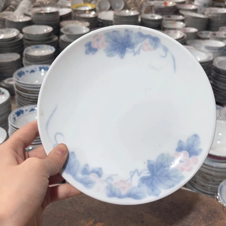 醴陵高温瓷釉下18.5厘米英文底