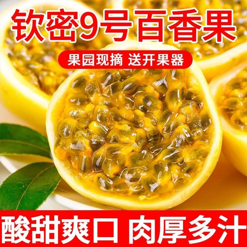 正宗广西钦蜜百香果9号黄金百香果新鲜大果包邮钦密黄金果