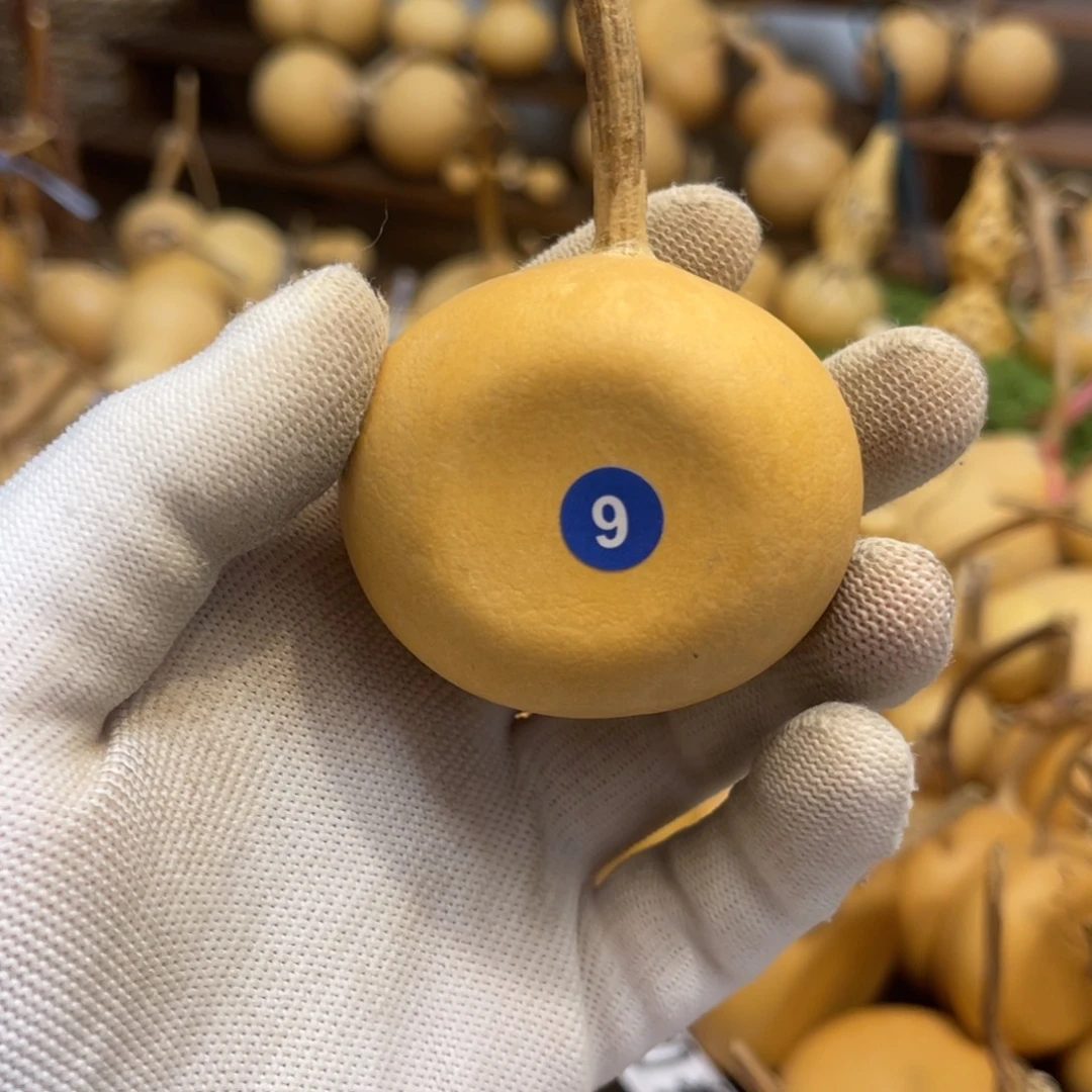 ****闪拍葫芦链接-9号品